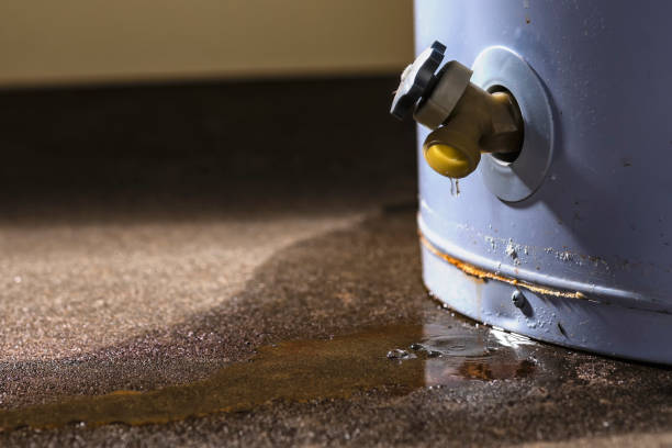 Best Sewage cleanup and water damage restoration  in , MS