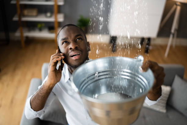 Best Residential water damage restoration  in , MS