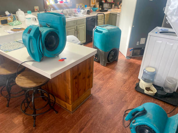 Best Commercial water damage restoration  in , MS