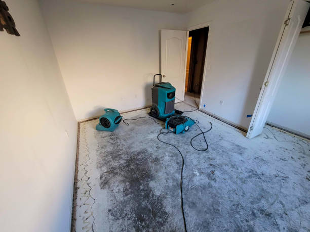 Best Sewage cleanup and water damage restoration  in , MS