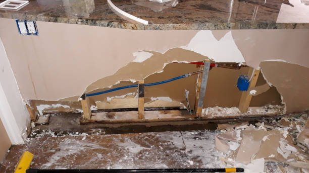 Best Water damage contractors near me  in , MS