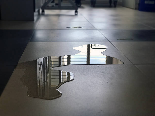 Best Water damage restoration company  in , MS