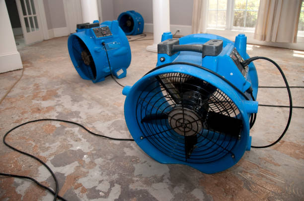 Best Fire Damage Restoration  in , MS