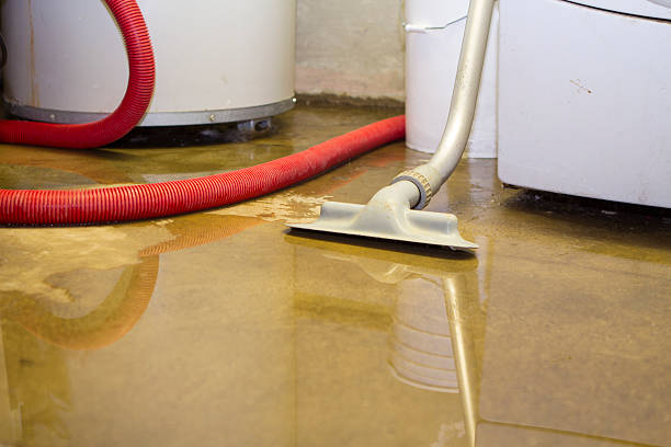  , MS Water damage restoration Pros