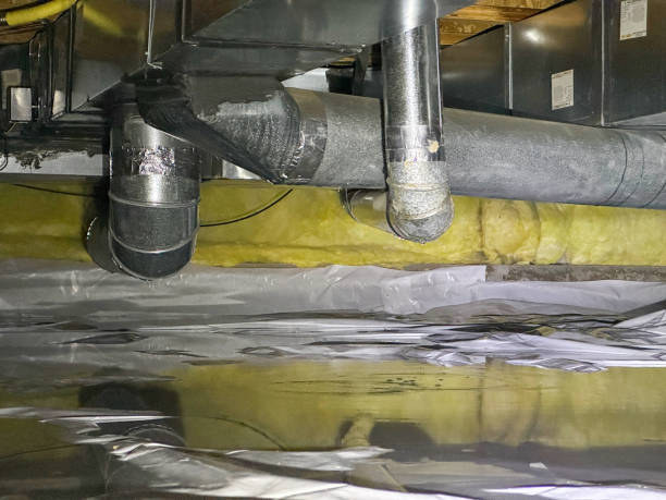 Best Flooded house restoration  in , MS
