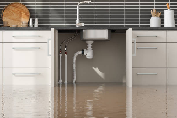 Best Flood restoration services  in , MS