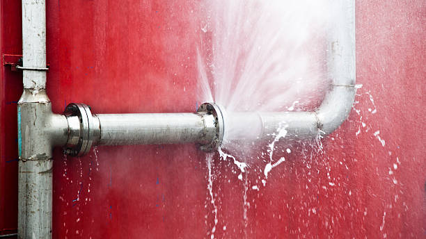 Best Mold removal after water damage  in , MS