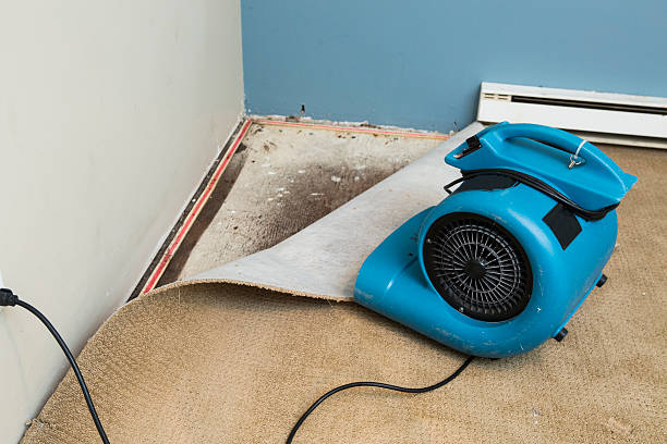 Best 24/7 water damage repair  in , MS